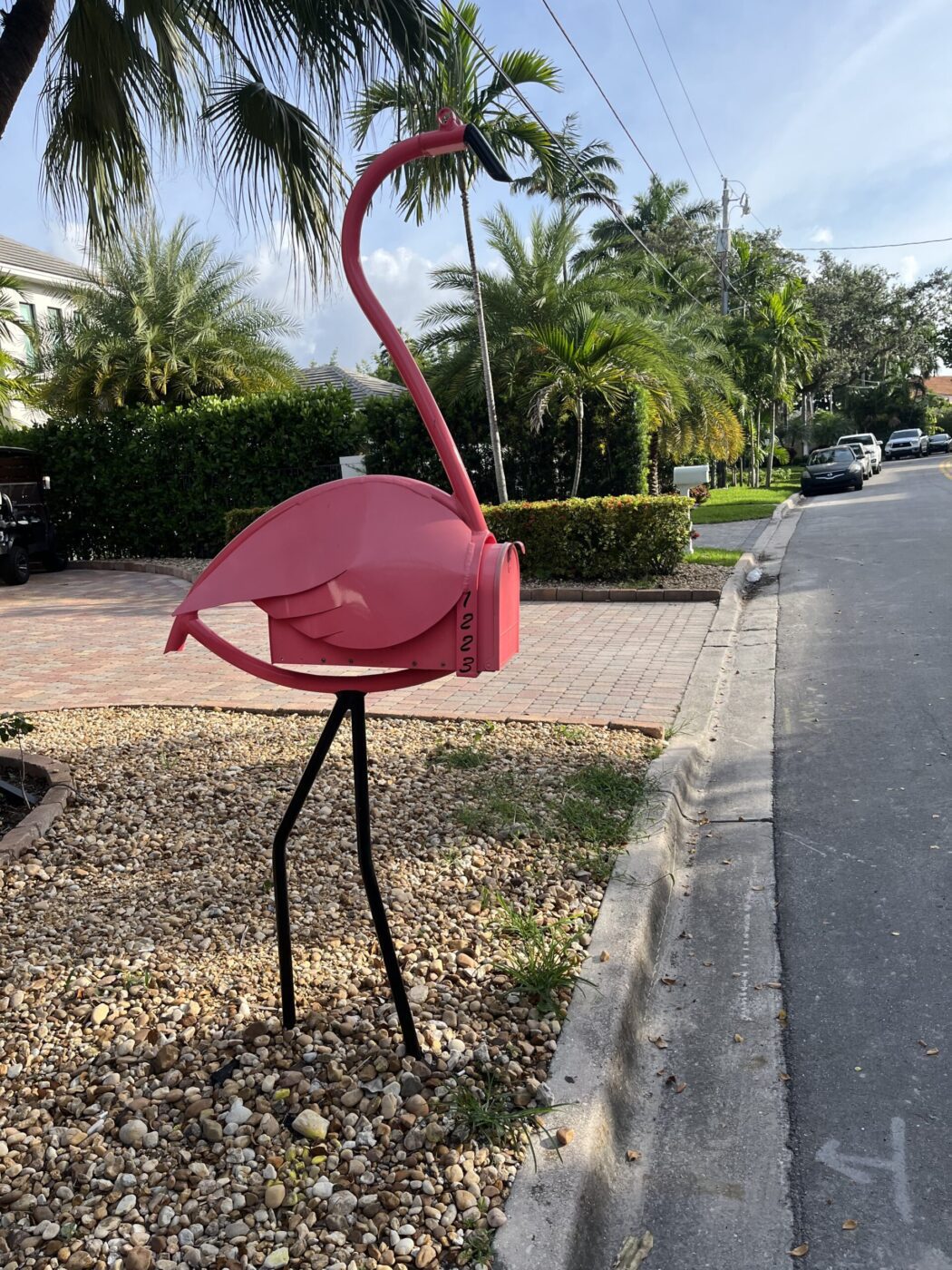Pink Flamingo Mailbox in the Roadside