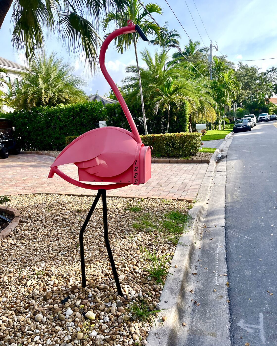 Bright pink flamingo-shaped mailbox stands on a gravel bed, surrounded by palm trees, adding quirky charm to the neighborhood street.