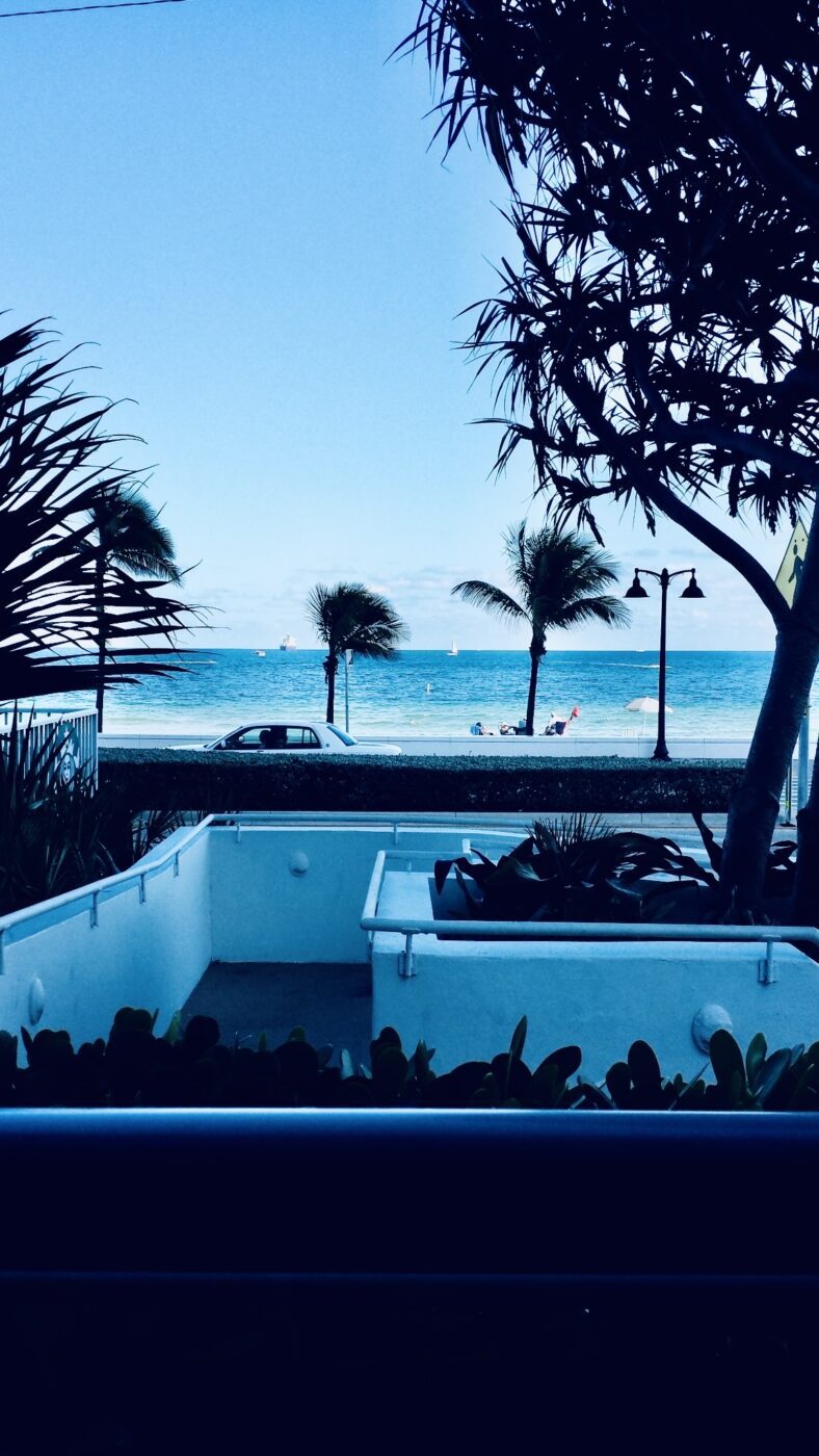 View of a beach scene featuring palm trees, a calm ocean, and people relaxing under umbrellas. A car passes along the beachside road.
