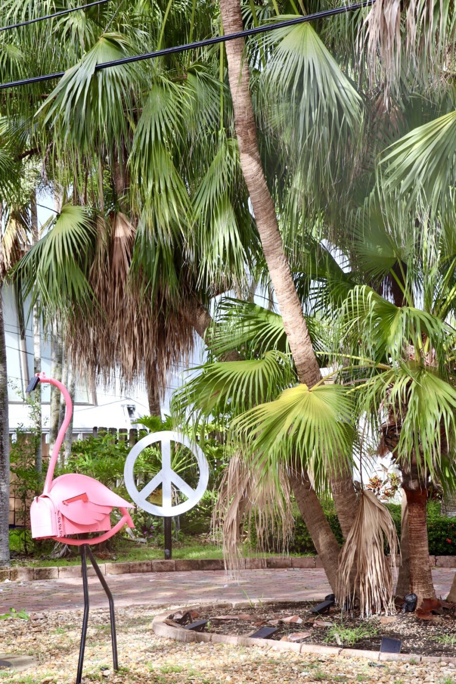 Colorful pink flamingo mailbox stands beside a peace sign, framed by lush palm trees, emphasizing a vibrant, laid-back outdoor vibe.