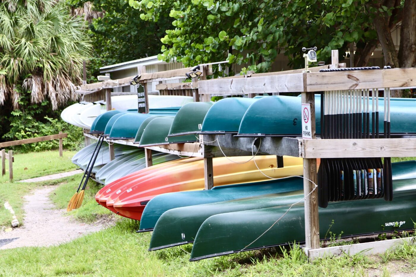 Colorful kayaks and canoes lined up on racks, surrounded by greenery, indicate a rental spot for water activities. Perfect for outdoor enthusiasts.