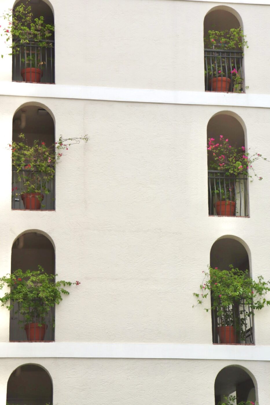 Balconies with potted plants adorned with colorful flowers on a white building facade, enhancing the aesthetic appeal of the architecture.
