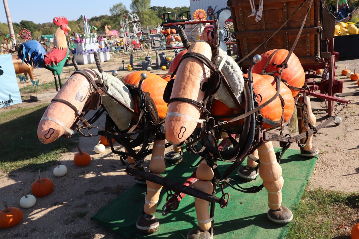 Two whimsical horse figures made of pumpkins and wooden pieces stand in a vibrant pumpkin patch, highlighting seasonal decorations and creativity.