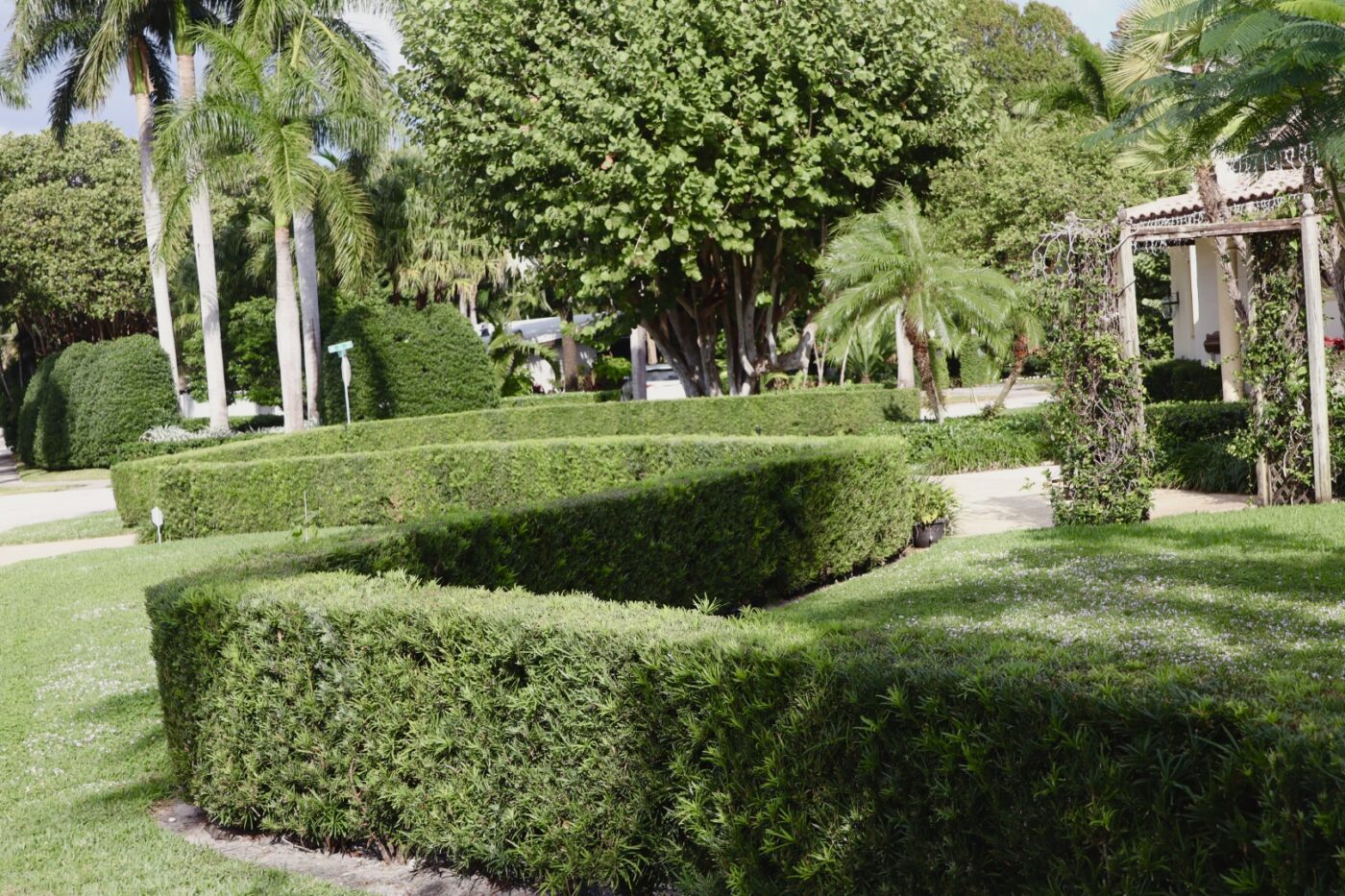 Lush garden featuring meticulously manicured hedges, palm trees, and a pathway, creating a serene outdoor space perfect for relaxation.