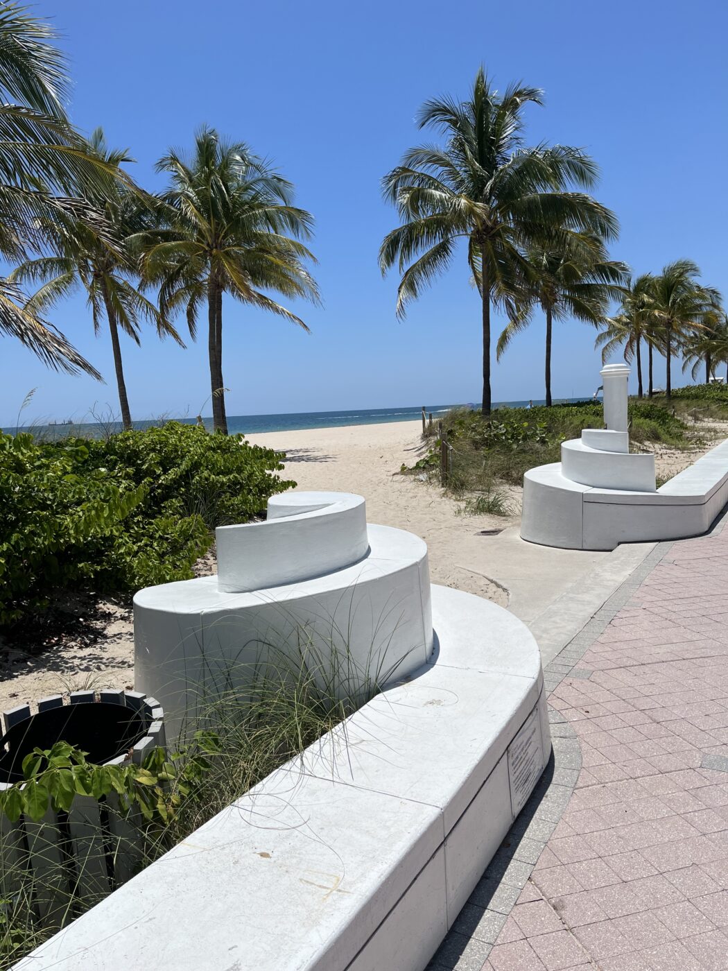 Palm trees line a sandy beach path with curving white seating. The vibrant blue sky and ocean create a serene coastal scene, ideal for relaxation.
