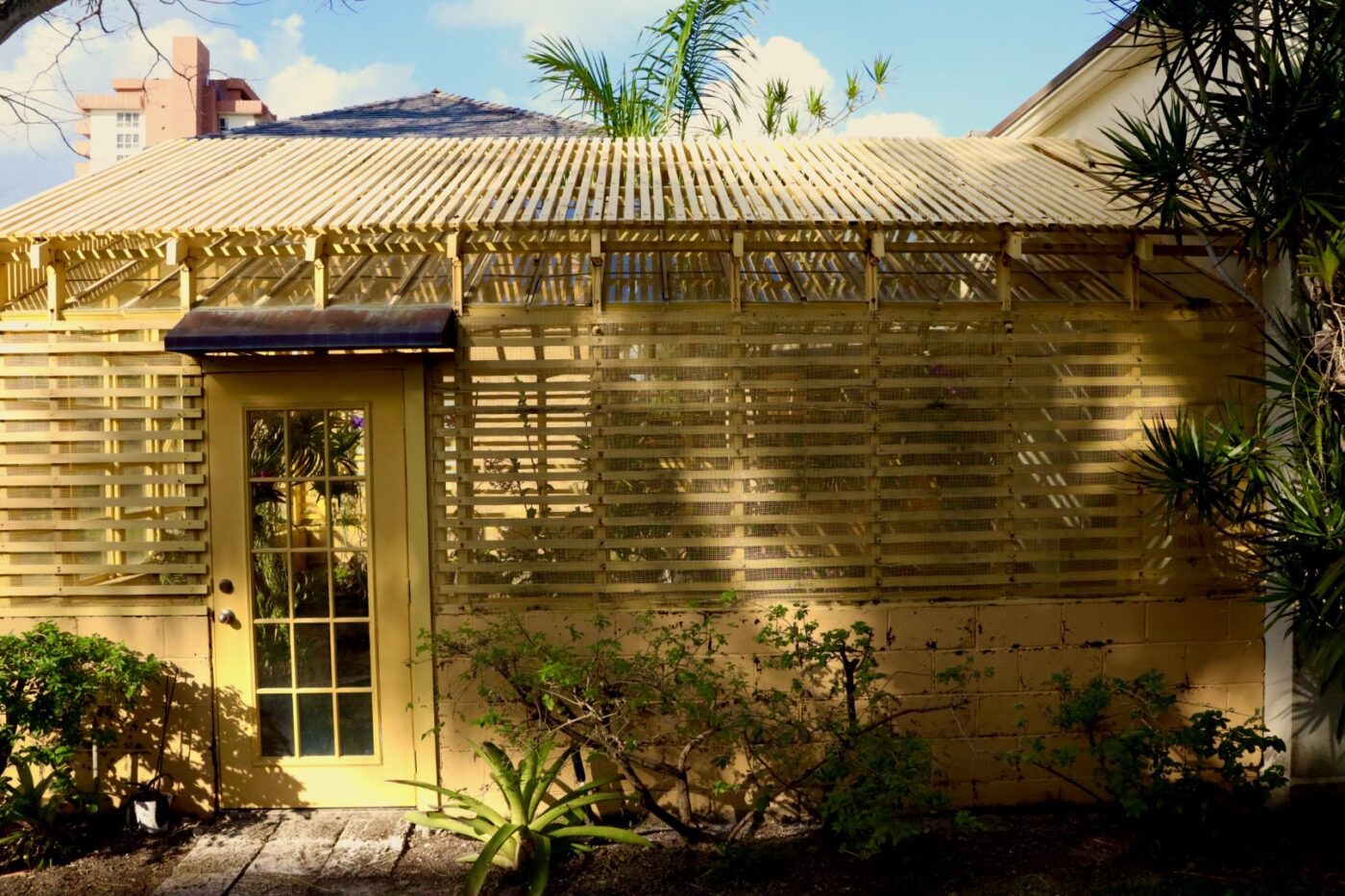 A yellow door with glass panes is framed by a bamboo-covered structure, surrounded by greenery, providing a serene garden atmosphere.