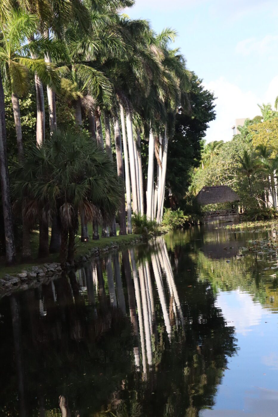 Lush palm trees line a serene pond, reflecting in the water, with a thatched-roof structure nestled among greenery in the background.