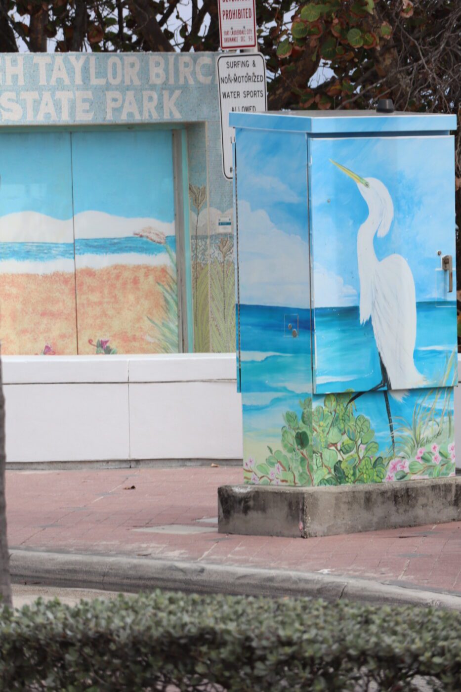 A large, sprawling banyan tree with numerous aerial roots, surrounded by lush greenery and a dirt pathway, showcases its natural beauty and ecosystem.