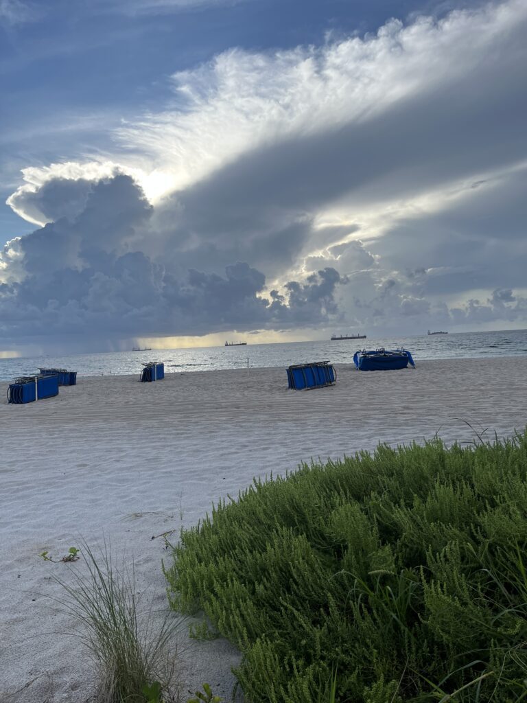 Serene beach scene with sandy shore and green vegetation, under dramatic clouds and distant cargo ships on the horizon.
