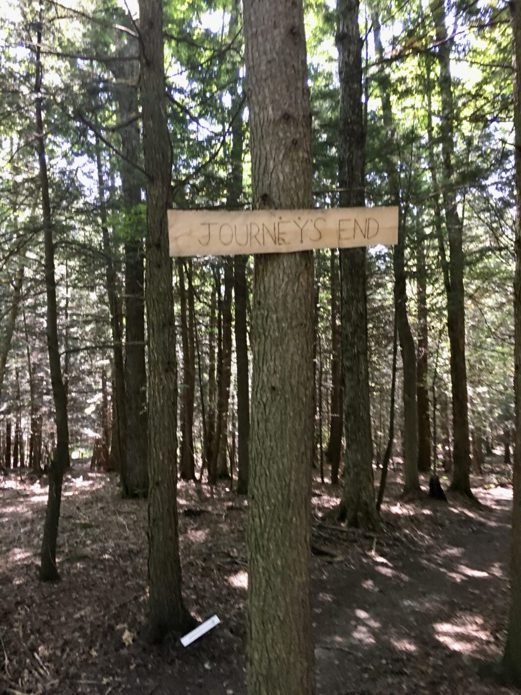 Wooden sign reading "JOURNEY'S END" affixed to a tree in a dense forest. The pathway ahead is partially visible, suggesting the end of a trail.