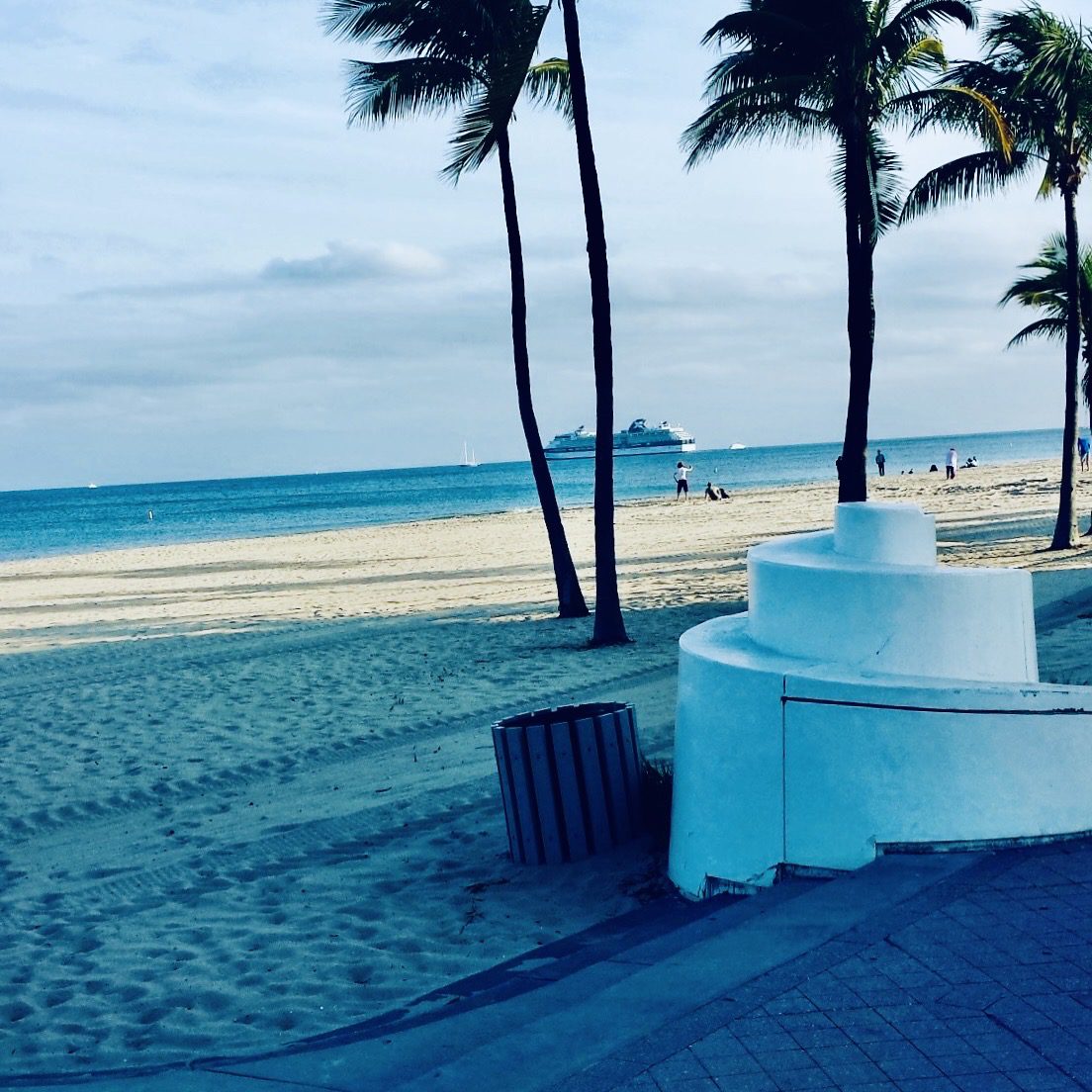 Palm trees stand along a sandy beach, with a distant cruise ship visible on the horizon. People enjoy the shoreline under a cloudy sky.