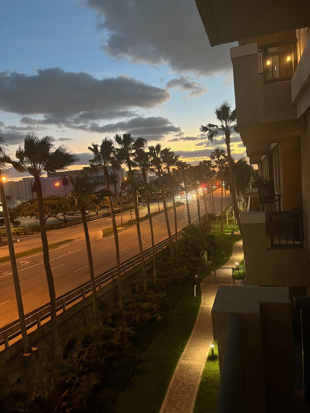 Sunset view from a balcony showcasing a palm-lined street with ambient lighting and traffic, reflecting a tropical atmosphere.