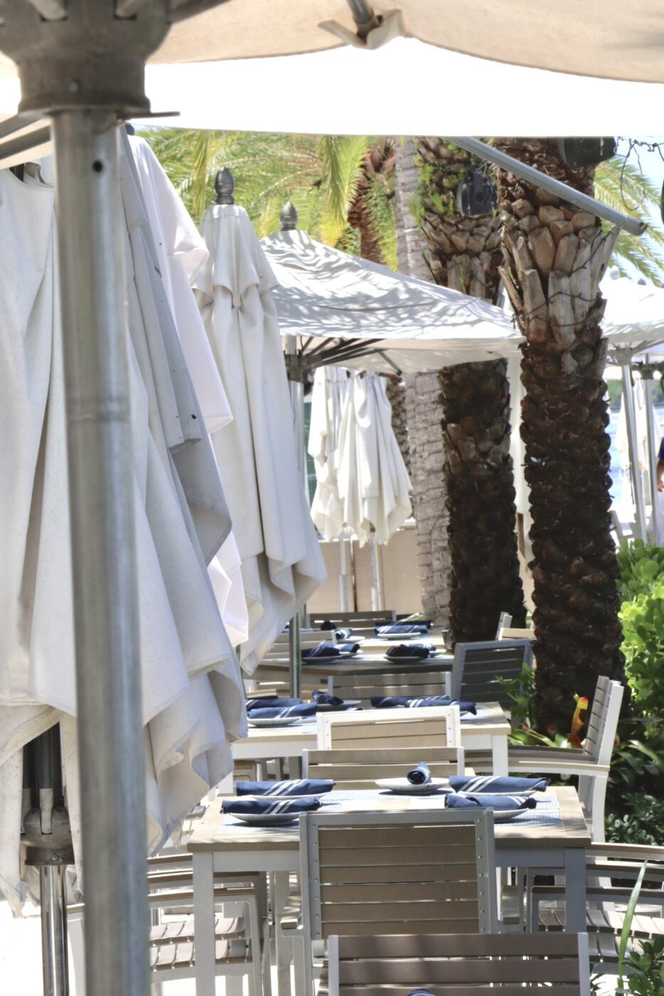 Outdoor dining area with neatly arranged tables under white umbrellas, surrounded by palm trees, creating a relaxed atmosphere.