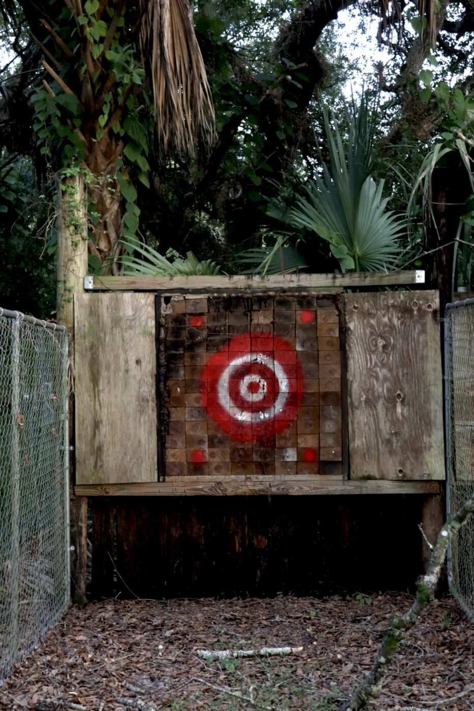 Wooden target board featuring a red and white bullseye, set in a lush, wooded environment with tropical foliage in the background.