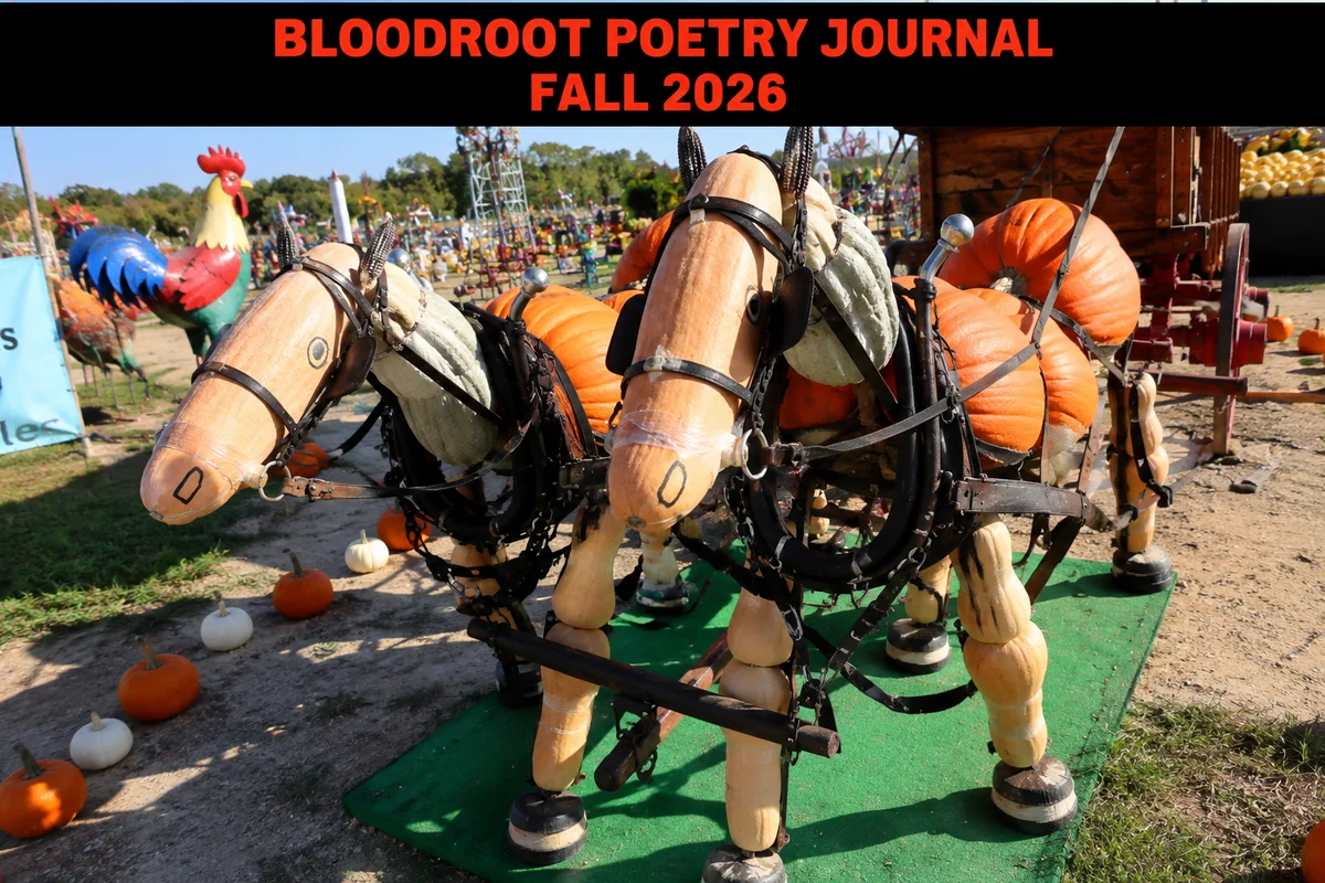 Harvest Gourd Horse Festival